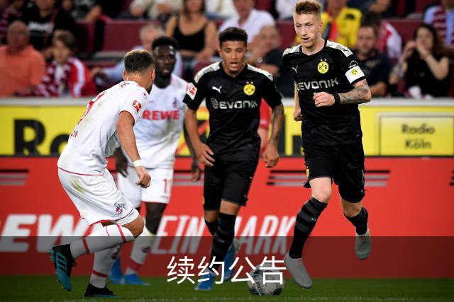 续约公告