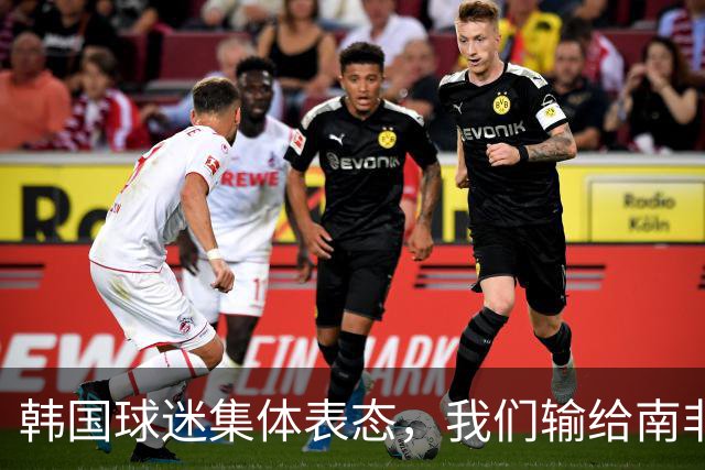 韩国球迷集体表态，我们输给南非，是因为中国国足坑了我们